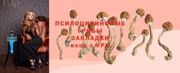 прущий лед Богородицк