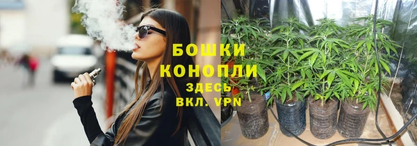 прущий лед Богородицк