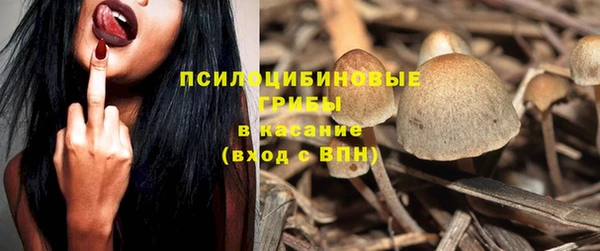 прущий лед Богородицк
