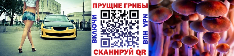 Псилоцибиновые грибы мицелий Купить закладки Бахчисарай